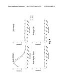 ANTIBODY PRODUCTION METHODS diagram and image