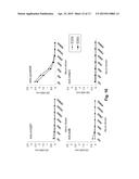 ANTIBODY PRODUCTION METHODS diagram and image