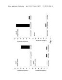 ANTIBODY PRODUCTION METHODS diagram and image