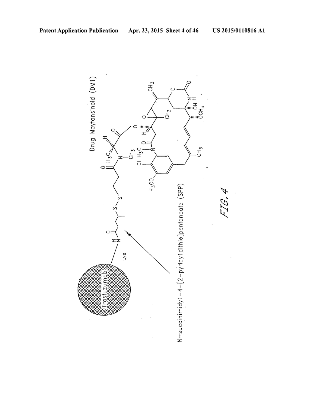 METHODS OF TREATMENT USING ANTI-ERBB ANTIBODY-MAYTANSINOID CONJUGATES - diagram, schematic, and image 05