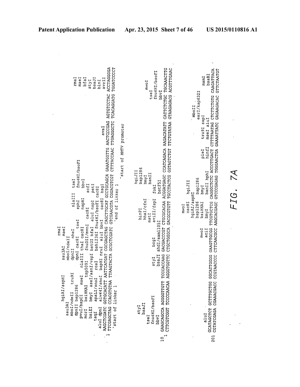 METHODS OF TREATMENT USING ANTI-ERBB ANTIBODY-MAYTANSINOID CONJUGATES - diagram, schematic, and image 08