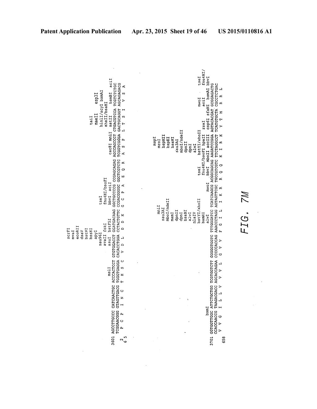 METHODS OF TREATMENT USING ANTI-ERBB ANTIBODY-MAYTANSINOID CONJUGATES - diagram, schematic, and image 20