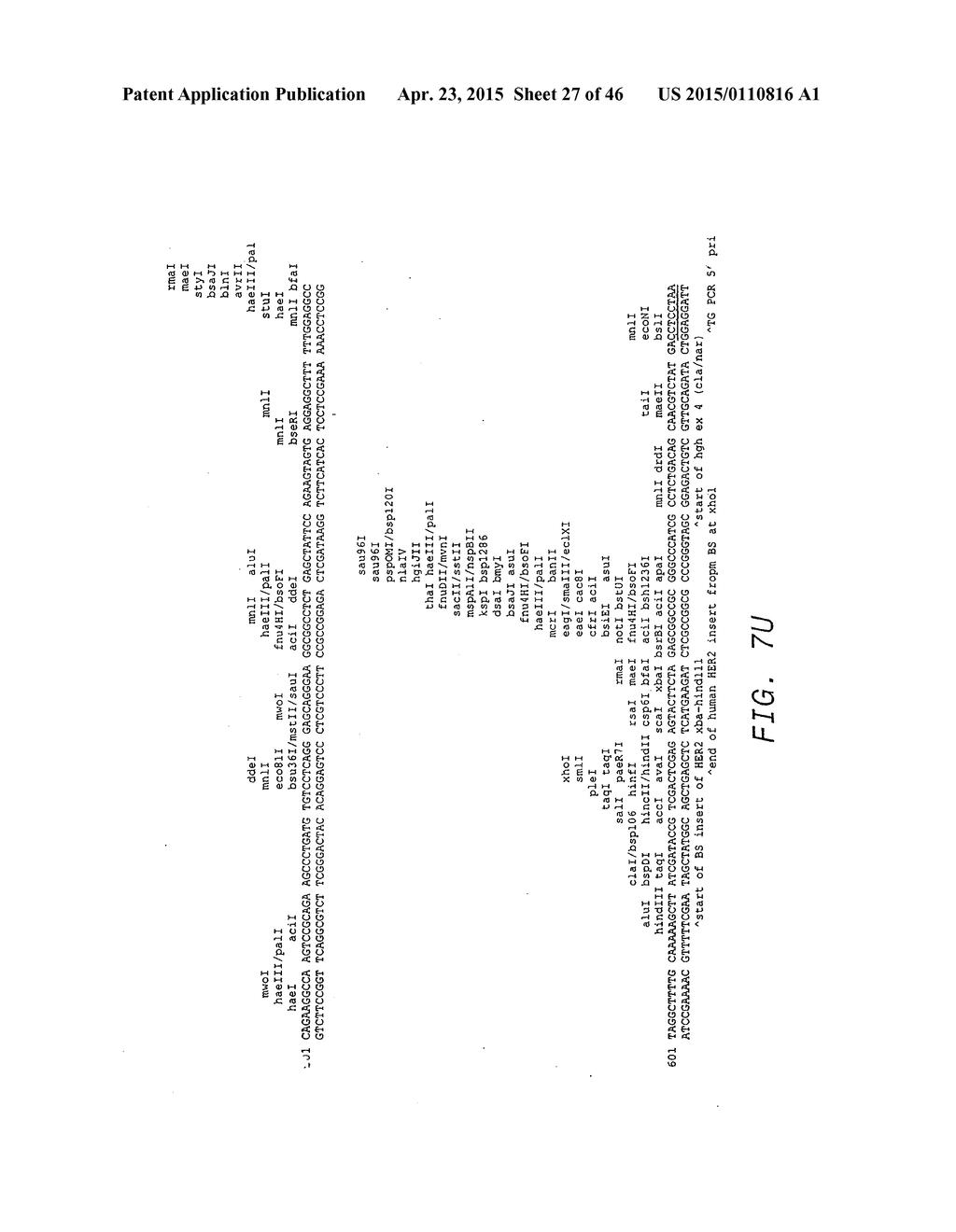 METHODS OF TREATMENT USING ANTI-ERBB ANTIBODY-MAYTANSINOID CONJUGATES - diagram, schematic, and image 28