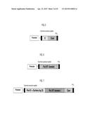 YEAST-BASED THERAPEUTIC FOR CHRONIC HEPATITIS B INFECTION diagram and image