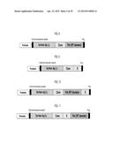 YEAST-BASED THERAPEUTIC FOR CHRONIC HEPATITIS B INFECTION diagram and image