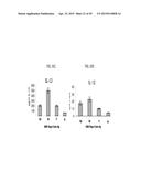 YEAST-BASED THERAPEUTIC FOR CHRONIC HEPATITIS B INFECTION diagram and image