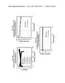 Polymer-Bound Ceramic Particle Battery Separator Coating diagram and image