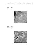 POSITIVE ELECTRODE ACTIVE MATERIAL, PREPARATION METHOD THEREOF, AND     LITHIUM BATTERY INCLUDING THE SAME diagram and image