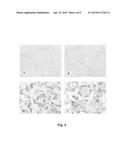 METHOD FOR PEPTIDE HISTOCHEMICAL DIAGNOSIS diagram and image