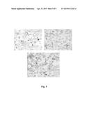 METHOD FOR PEPTIDE HISTOCHEMICAL DIAGNOSIS diagram and image