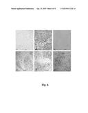 METHOD FOR PEPTIDE HISTOCHEMICAL DIAGNOSIS diagram and image