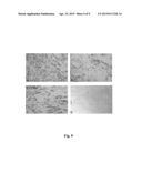 METHOD FOR PEPTIDE HISTOCHEMICAL DIAGNOSIS diagram and image