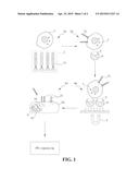 PEPTIDE SPECIFIC FOR OVARIAN CANCER AND APPLICATIONS diagram and image