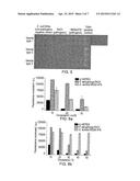 WOUND DRESSING diagram and image