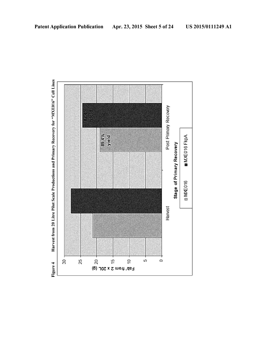 Recombinant Bacterial Host Cell for Protein Expression - diagram, schematic, and image 06