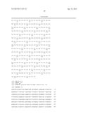 ENZYMATIC OMEGA-OXIDATION AND OMEGA-AMINATION OF FATTY ACIDS diagram and image