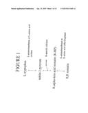 ALDOLASES, NUCLEIC ACIDS ENCODING THEM AND METHODS FOR MAKING AND USING     THEM diagram and image