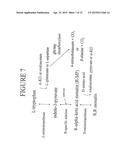 ALDOLASES, NUCLEIC ACIDS ENCODING THEM AND METHODS FOR MAKING AND USING     THEM diagram and image