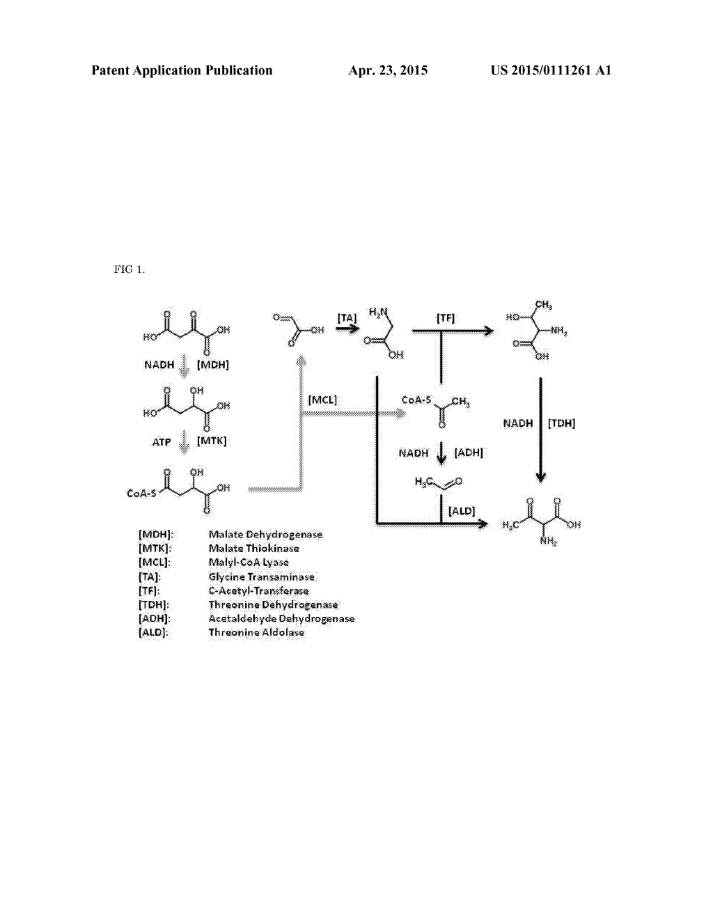 L-THREONINE-PRODUCING ESCHERICHIA COLI AND METHOD FOR PRODUCING     L-THREONINE USING THE SAME - diagram, schematic, and image 02