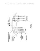 METHODS AND COMPOSITIONS FOR GENERATING AN IMMUNE RESPONSE BY INDUCING     CD40 AND PATTERN RECOGNITION RECEPTOR ADAPTERS diagram and image