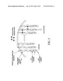 METHODS AND COMPOSITIONS FOR GENERATING AN IMMUNE RESPONSE BY INDUCING     CD40 AND PATTERN RECOGNITION RECEPTOR ADAPTERS diagram and image