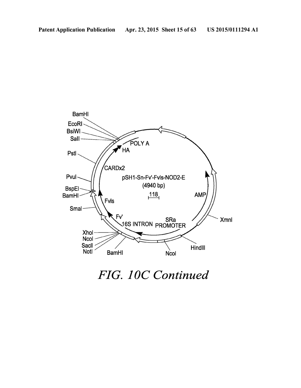 METHODS AND COMPOSITIONS FOR GENERATING AN IMMUNE RESPONSE BY INDUCING     CD40 AND PATTERN RECOGNITION RECEPTOR ADAPTERS - diagram, schematic, and image 16