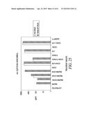 METHODS AND COMPOSITIONS FOR GENERATING AN IMMUNE RESPONSE BY INDUCING     CD40 AND PATTERN RECOGNITION RECEPTOR ADAPTERS diagram and image