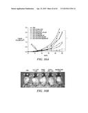 METHODS AND COMPOSITIONS FOR GENERATING AN IMMUNE RESPONSE BY INDUCING     CD40 AND PATTERN RECOGNITION RECEPTOR ADAPTERS diagram and image