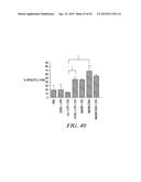 METHODS AND COMPOSITIONS FOR GENERATING AN IMMUNE RESPONSE BY INDUCING     CD40 AND PATTERN RECOGNITION RECEPTOR ADAPTERS diagram and image