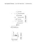 METHODS AND COMPOSITIONS FOR GENERATING AN IMMUNE RESPONSE BY INDUCING     CD40 AND PATTERN RECOGNITION RECEPTOR ADAPTERS diagram and image