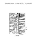 GRINDING MOTOR AND METHOD OF OPERATING THE SAME FOR RAIL APPLICATIONS diagram and image