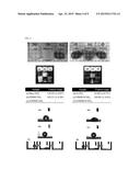 VISIBLE LIGHT RESPONSIVE PHOTOCATALYST BY HYDROPHILIC MODIFICATION USING     POLYMER MATERIAL AND A METHOD FOR PREPARING THE SAME diagram and image