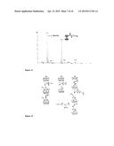 POLYMERIZED MICROARRAYS diagram and image