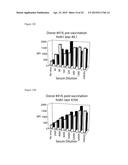 FLUORESCENT NEUTRALIZATION AND ADHERENCE INHIBITION ASSAYS diagram and image