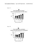 FLUORESCENT NEUTRALIZATION AND ADHERENCE INHIBITION ASSAYS diagram and image