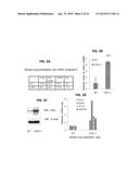 METHODS FOR GENERATION OF PLURIPOTENT AND MULTIPOTENT CELLS diagram and image