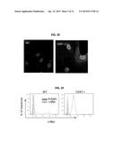 METHODS FOR GENERATION OF PLURIPOTENT AND MULTIPOTENT CELLS diagram and image