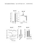 METHODS FOR GENERATION OF PLURIPOTENT AND MULTIPOTENT CELLS diagram and image