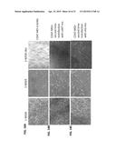 METHODS FOR GENERATION OF PLURIPOTENT AND MULTIPOTENT CELLS diagram and image