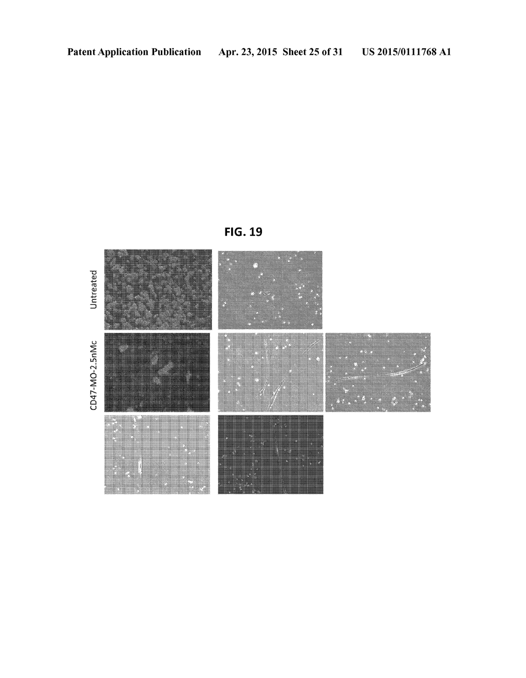 METHODS FOR GENERATION OF PLURIPOTENT AND MULTIPOTENT CELLS - diagram, schematic, and image 26