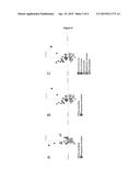 Method for Identifying Agents Capable of Inducing Respiratory     Sensitization and Array and Analytical Kits for Use in the Method diagram and image