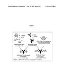 MULTIPLEX ISOLATION OF PROTEIN-ASSOCIATED NUCLEIC ACIDS diagram and image