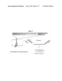 MULTIPLEX ISOLATION OF PROTEIN-ASSOCIATED NUCLEIC ACIDS diagram and image