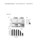 MUTATED FIBROBLAST GROWTH FACTOR (FGF) 1 AND METHODS OF USE diagram and image