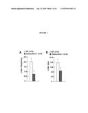 OSTEOCALCIN AS A TREATMENT FOR MALE REPRODUCTIVE DISORDERS diagram and image