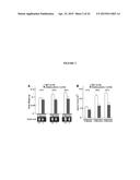 OSTEOCALCIN AS A TREATMENT FOR MALE REPRODUCTIVE DISORDERS diagram and image