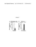 OSTEOCALCIN AS A TREATMENT FOR MALE REPRODUCTIVE DISORDERS diagram and image