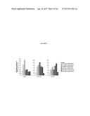 OSTEOCALCIN AS A TREATMENT FOR MALE REPRODUCTIVE DISORDERS diagram and image