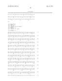 OSTEOCALCIN AS A TREATMENT FOR MALE REPRODUCTIVE DISORDERS diagram and image