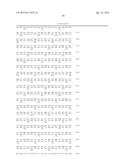 OSTEOCALCIN AS A TREATMENT FOR MALE REPRODUCTIVE DISORDERS diagram and image